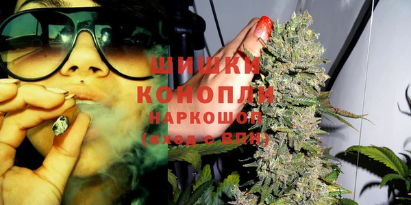 крисы Куйбышев