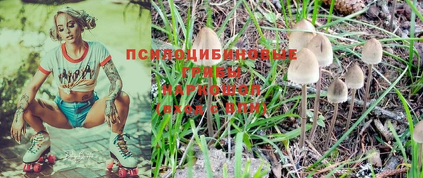 дмт Кулебаки