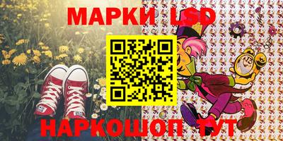 индика Заводоуковск