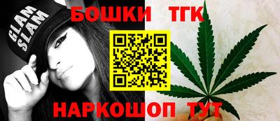 индика Заводоуковск