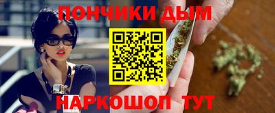 индика Заводоуковск