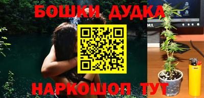 индика Заводоуковск