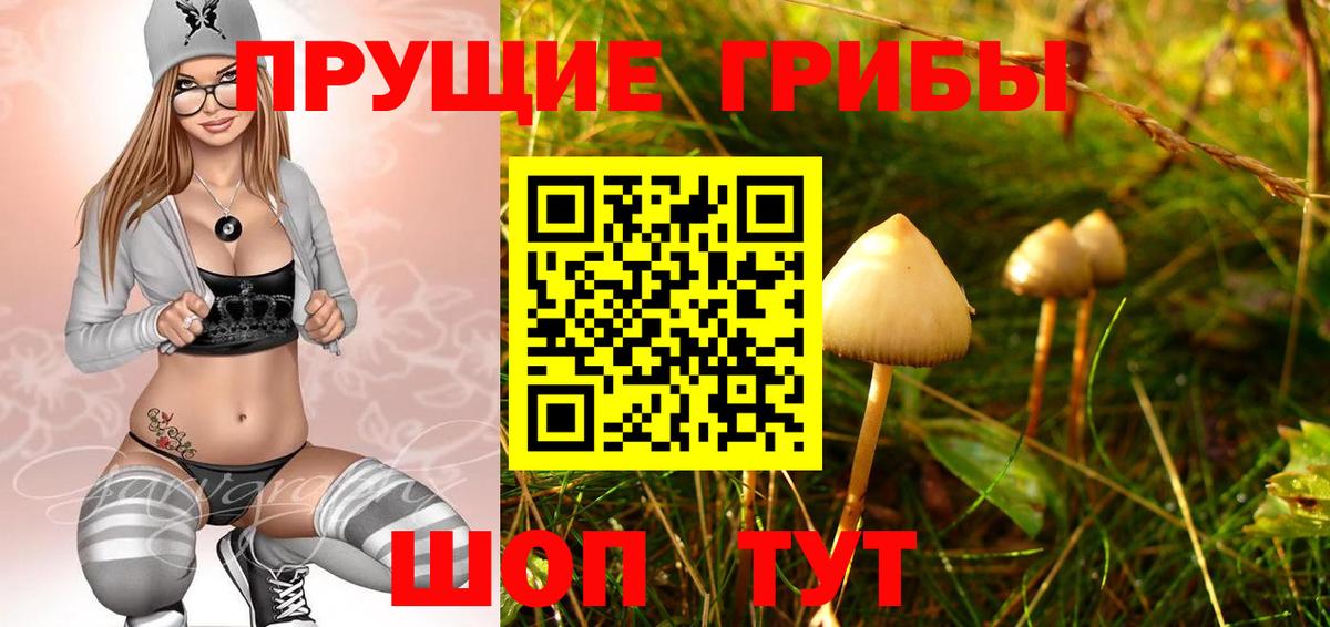 Краснодар  Галлюциногенные грибы Psilocybe  продажа наркотиков  Вход с VPN 