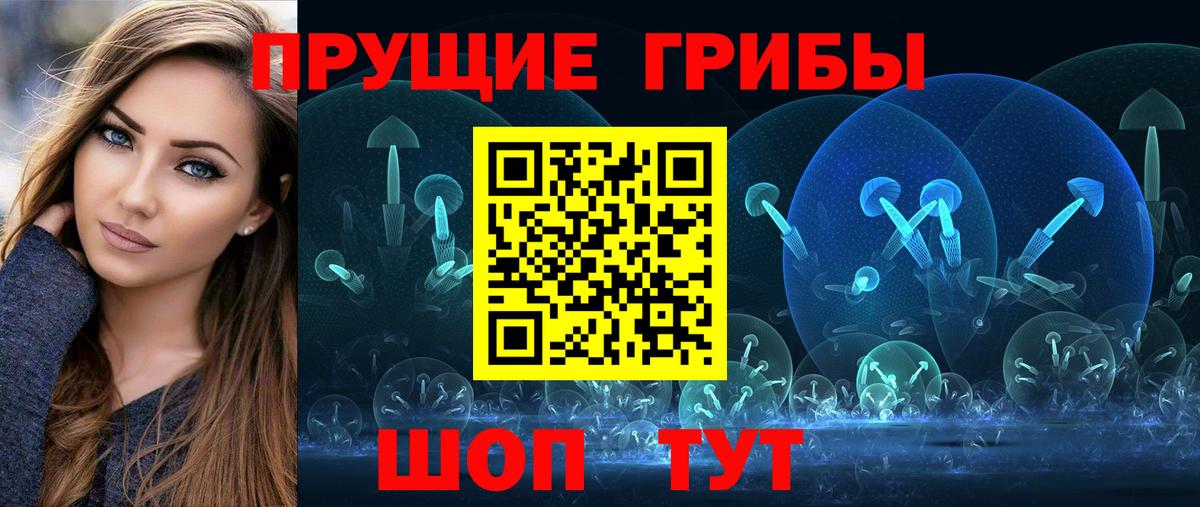 Псилоцибиновые грибы Psilocybine cubensis Краснодар