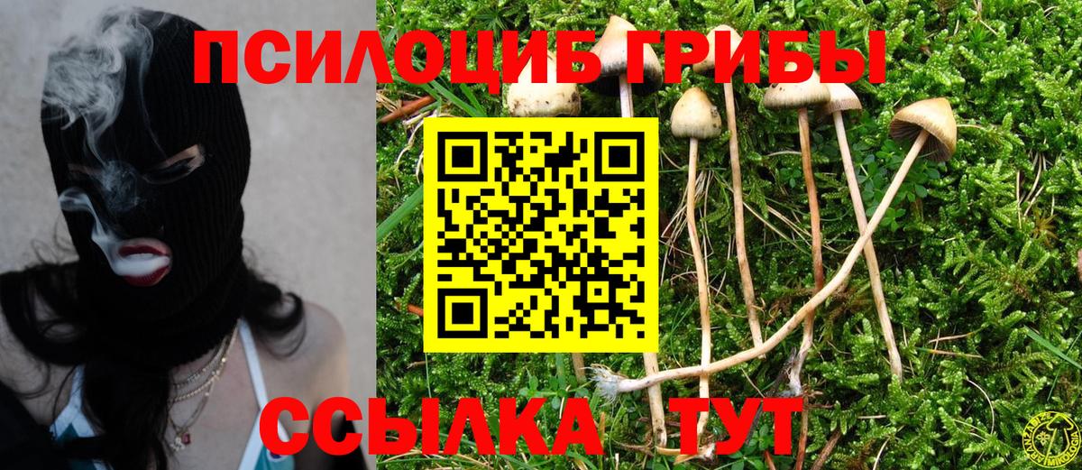 Галлюциногенные грибы MAGIC MUSHROOMS Краснодар
