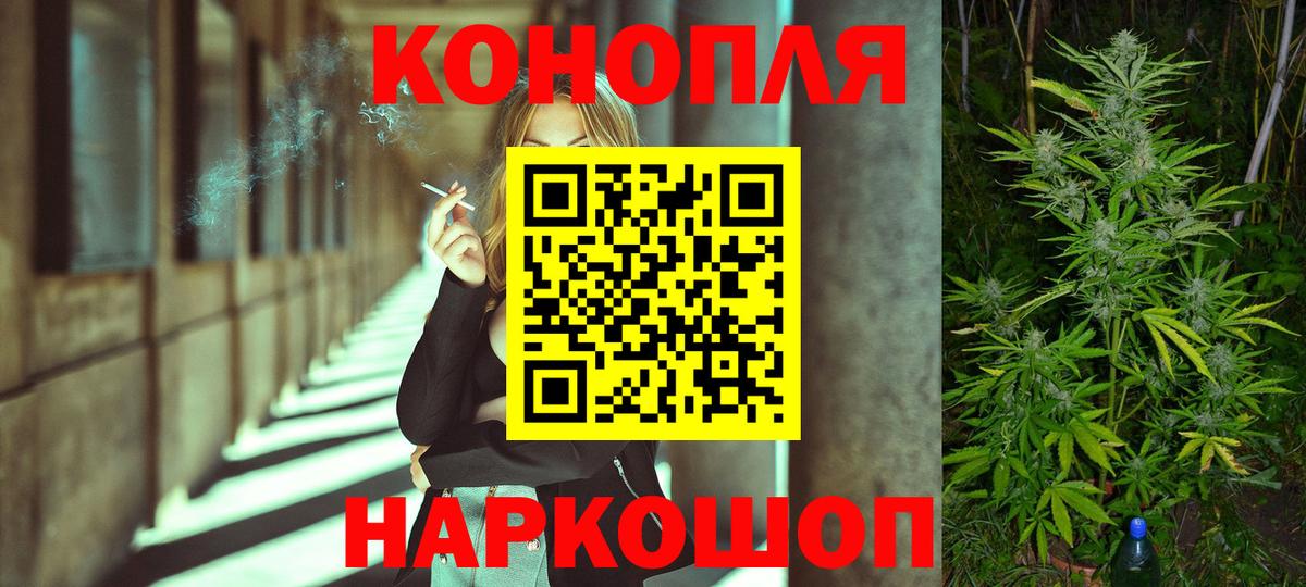 Канабис сатива Краснодар