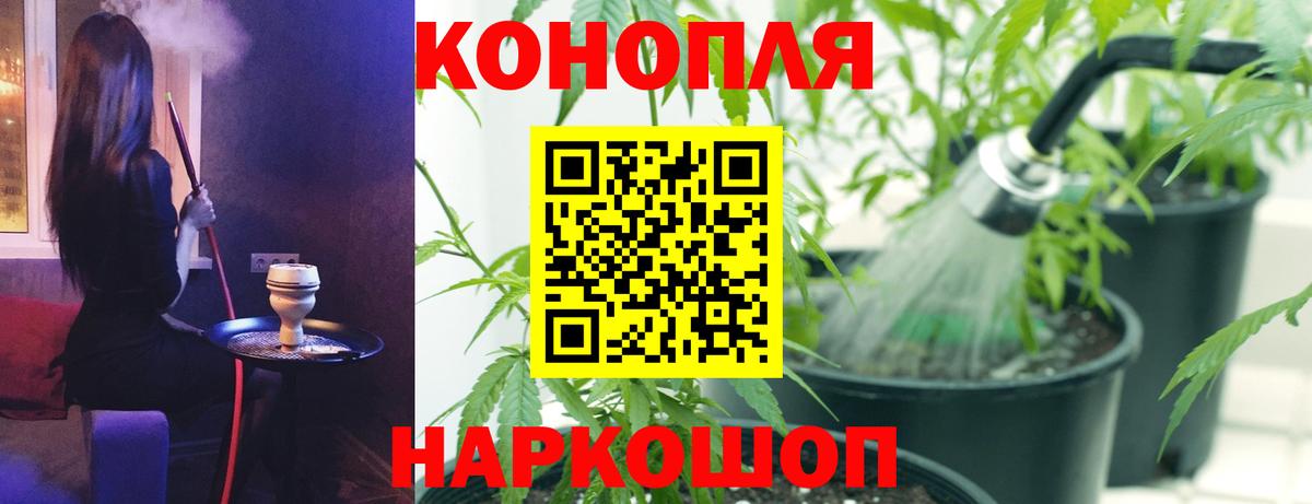 Бошки марихуана ГИДРОПОН Краснодар